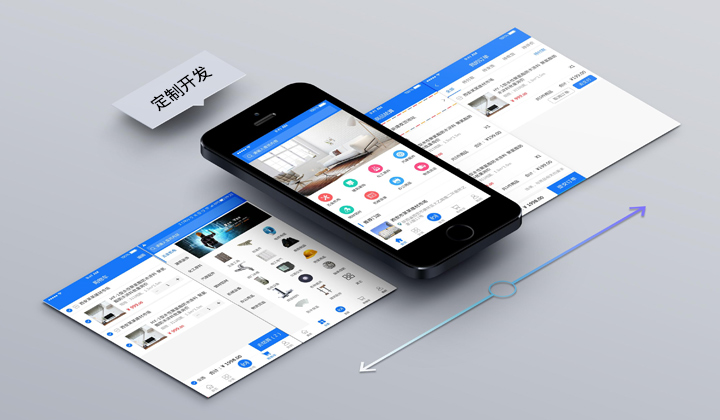 定制開(kāi)發(fā)